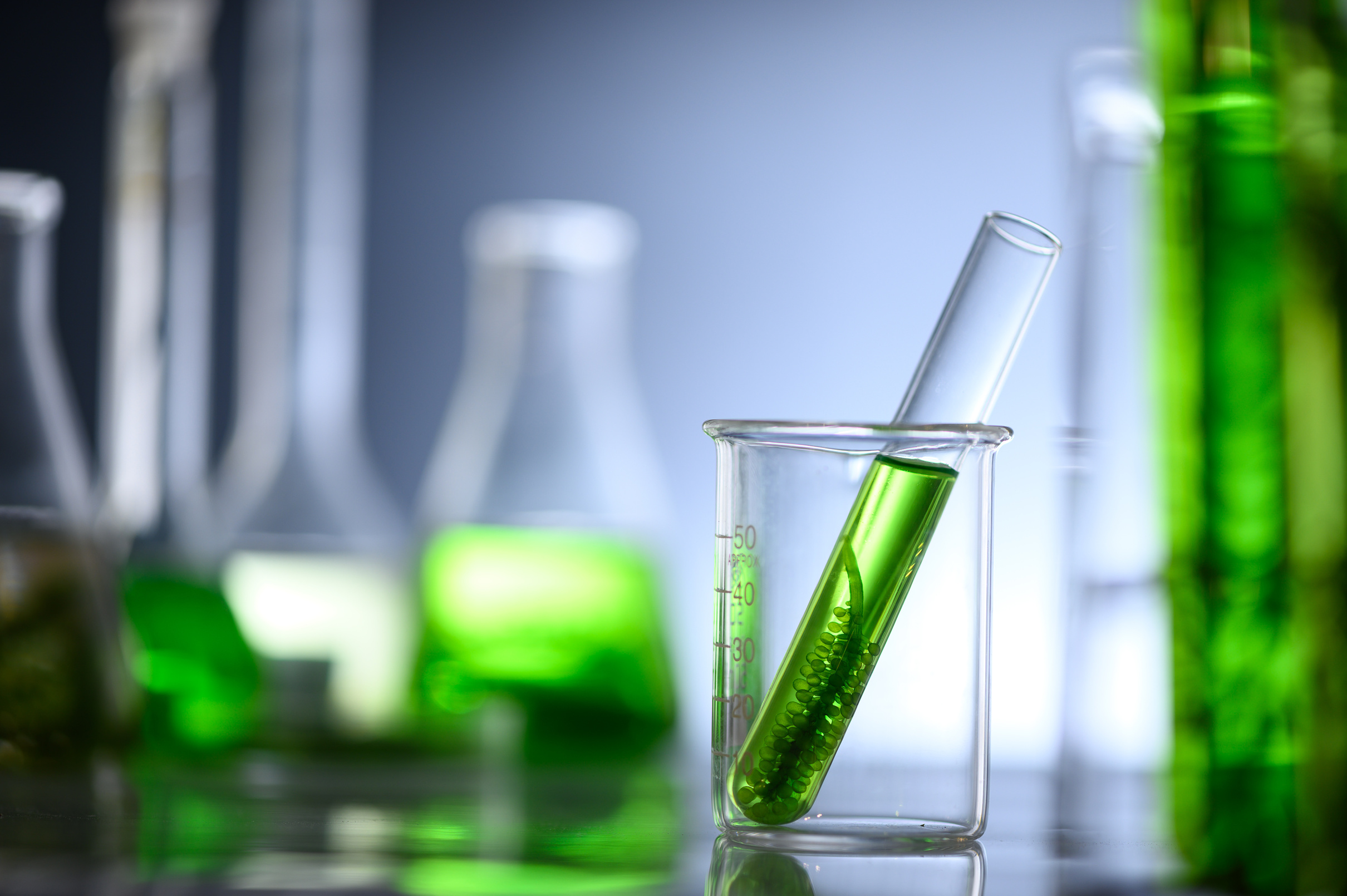 Algae Research in Laboratories, Biotechnology Science Concept